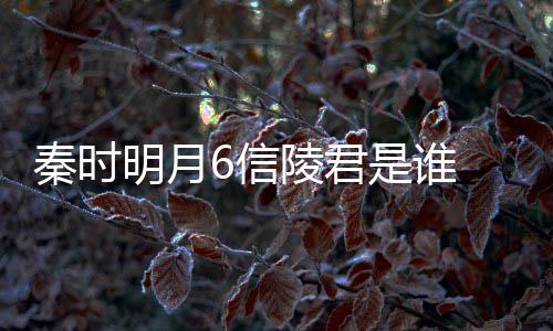 魏无忌明月底是6信陵君关系和田言到秦时是谁什么