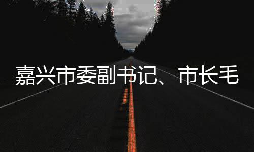 毛宏目行调类项嘉兴记境垃圾分研联运环市委市长副书芳一