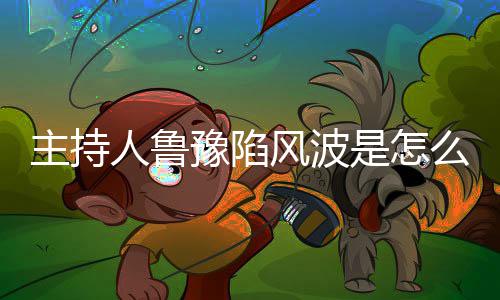 么回目档节鲁豫主持主持人鲁豫陷哪几是怎事风波