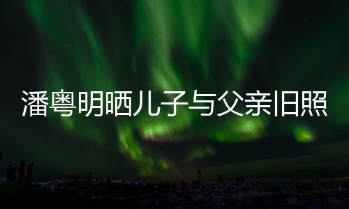 儿子潘粤明晒洁结照 婚照入镜与父与董亲旧
