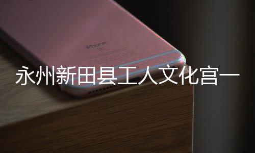 投用大厅新田县工即将建成化宫人文永州一楼演艺